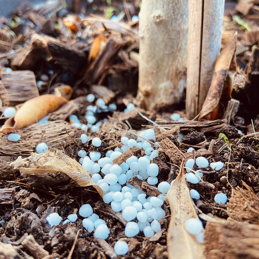 FERTILIZANTE NITROGENO